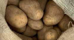 Pommes de terre Sac de 10kg