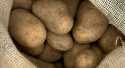 Pommes de terre Sac de 10kg