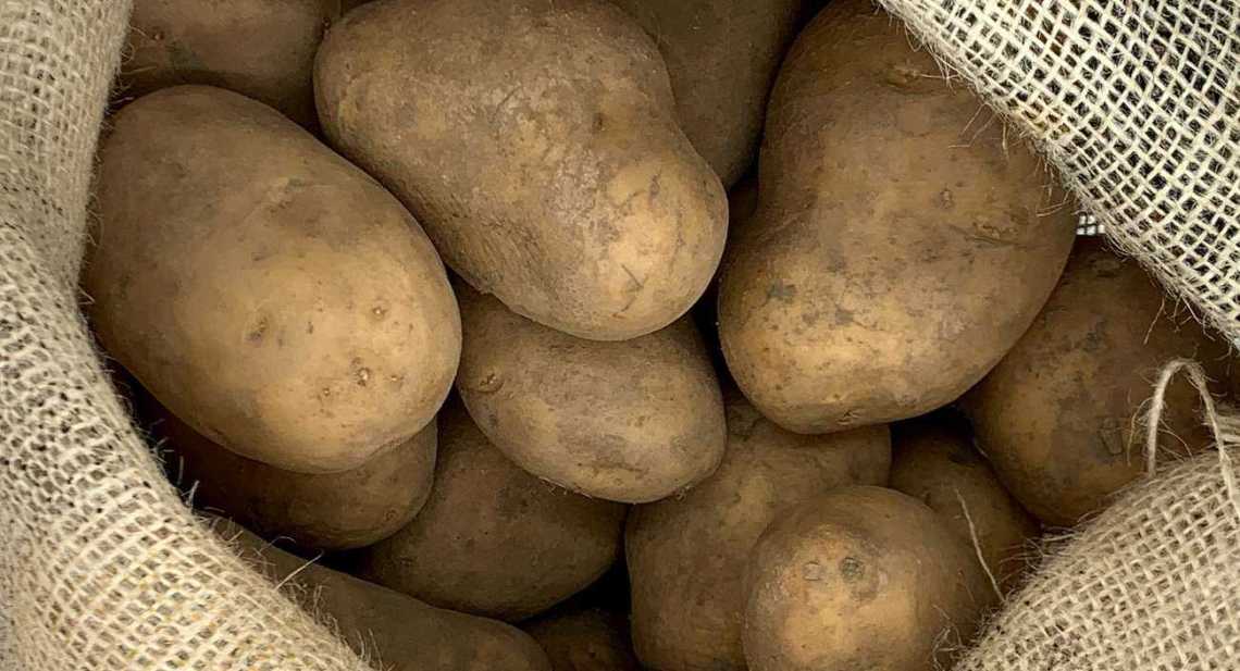 Pommes de terre Sac de 10kg