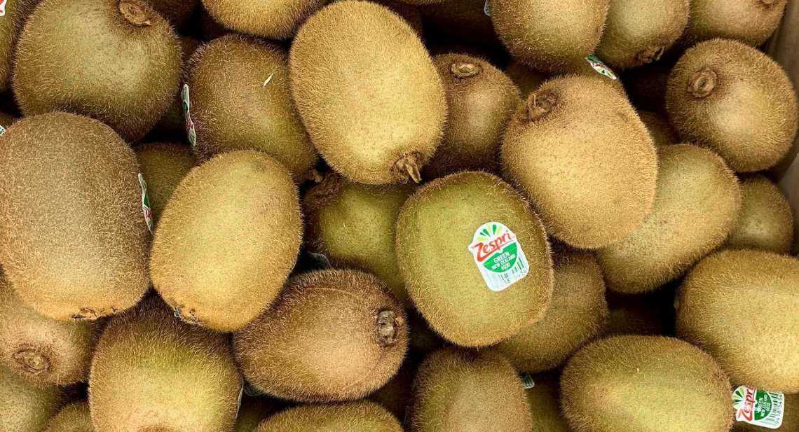 Kiwis Vert Lot de 4