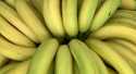 Bananes SCB