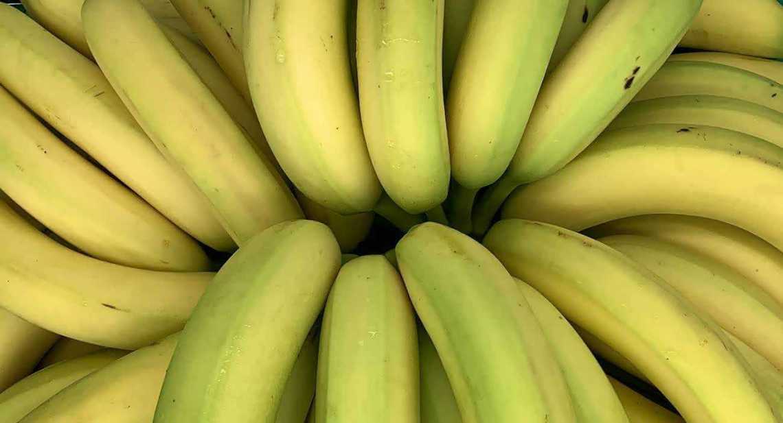 Bananes SCB