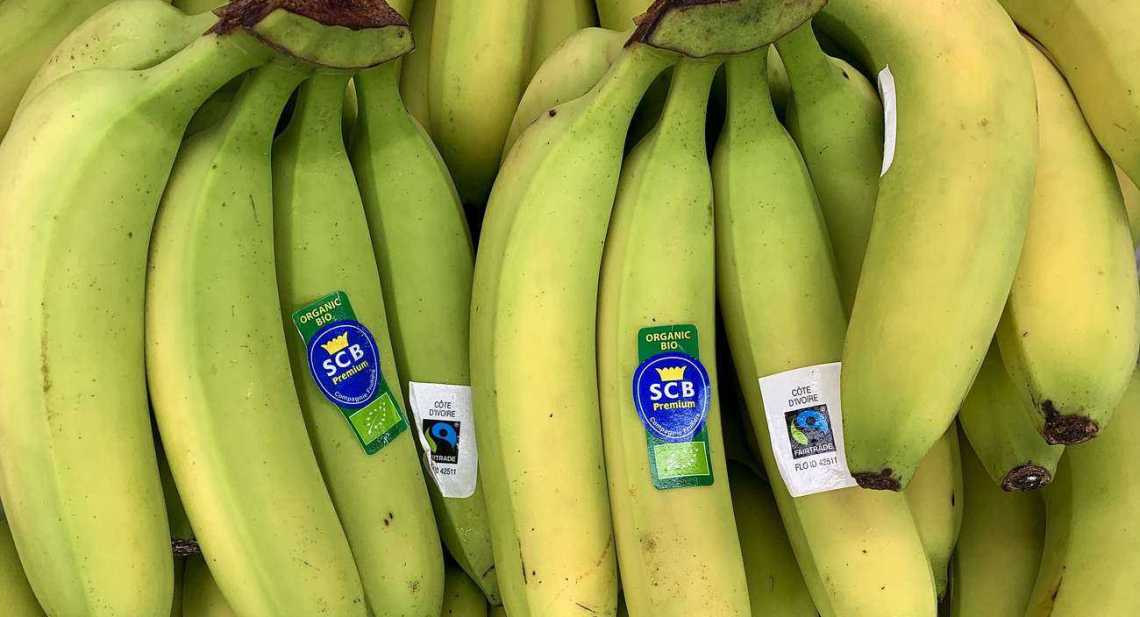 Bananes BIO