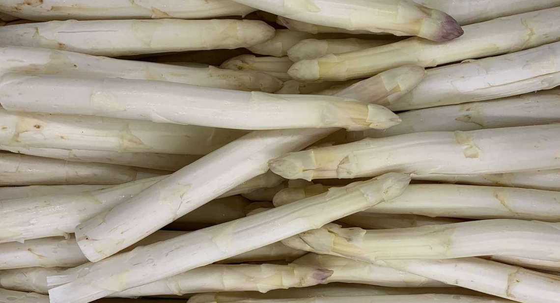 Asperges Blanche