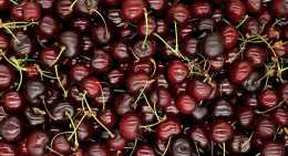 Cerises Burlat