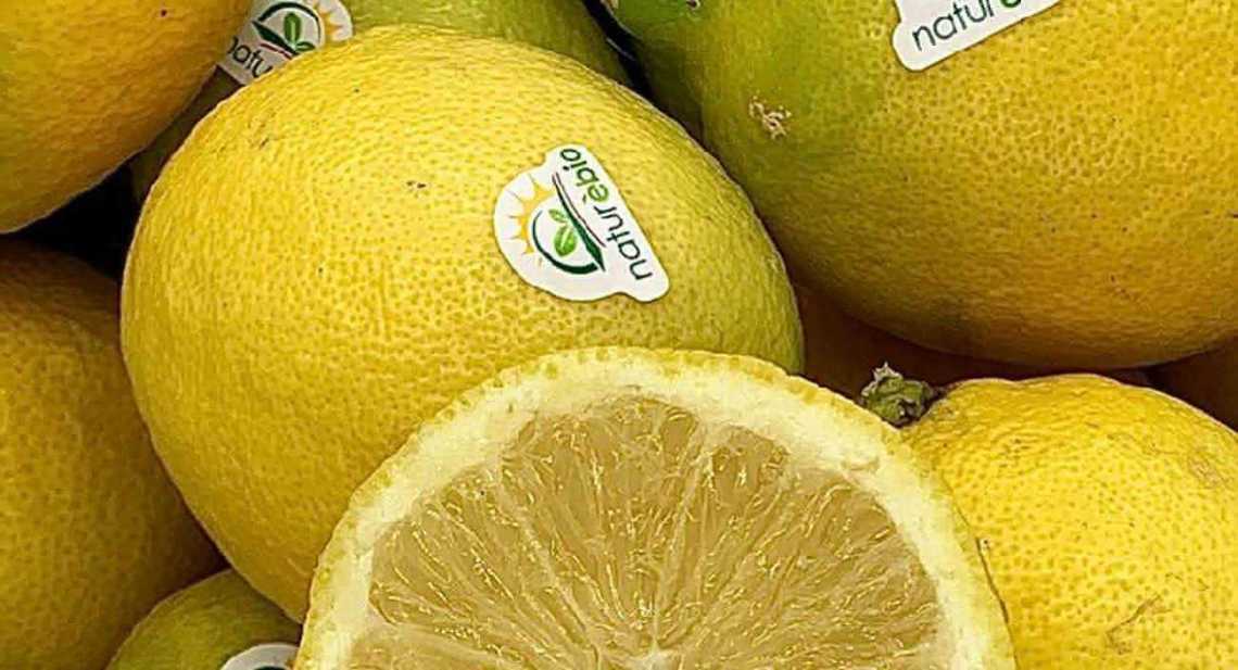 Citrons Jaune BIO