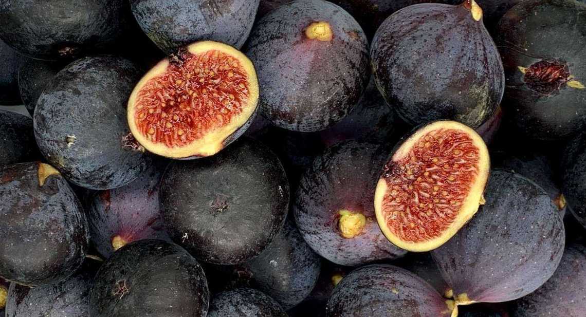Figues Fraîche