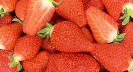 Fraises Clery
