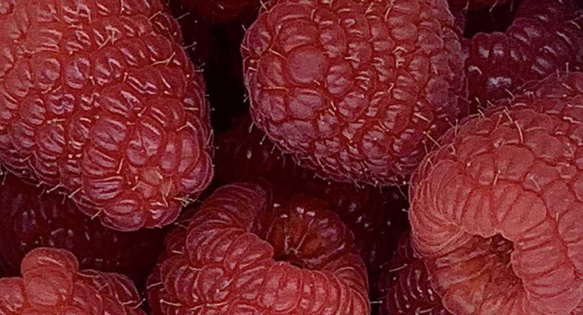 Framboises Heritage