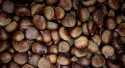 Marrons