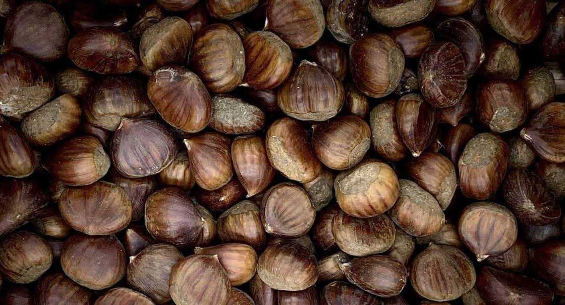 Marrons