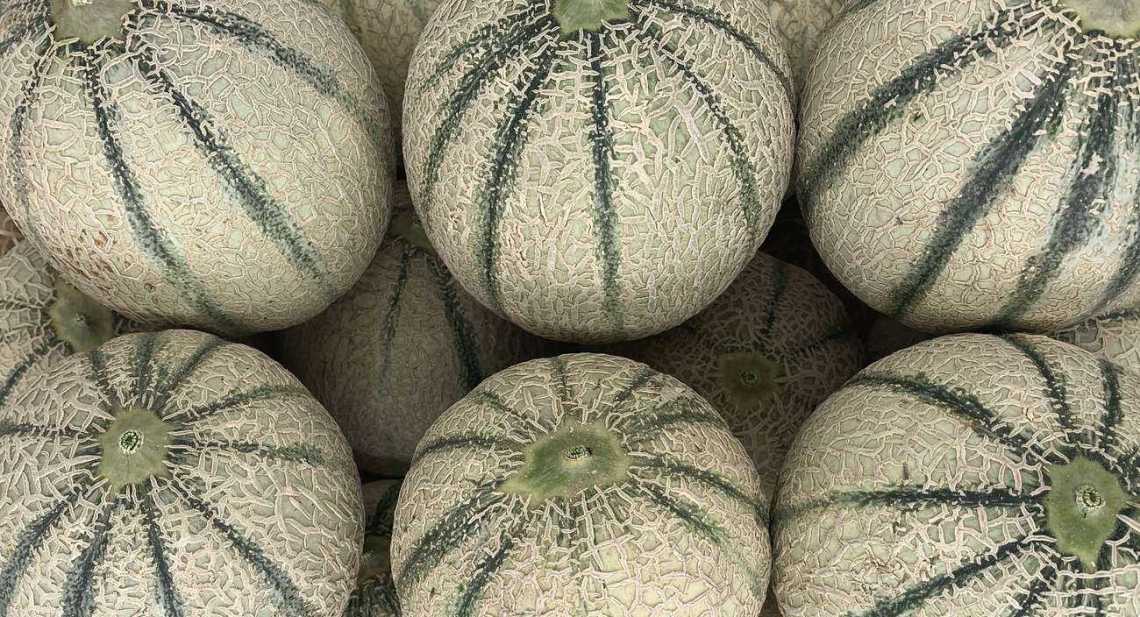 Melons Cavaillon
