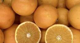Oranges spéciale jus