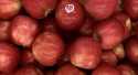 Pommes Pink Lady