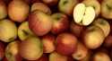 Pommes Rubinette