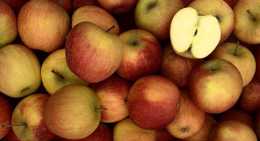 Pommes Rubinette