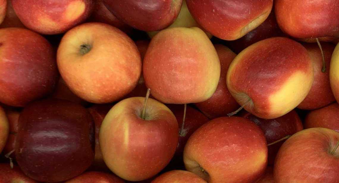 Pommes Story