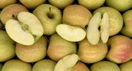 Pommes Golden du Pilat
