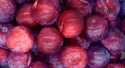 Prunes Rouge