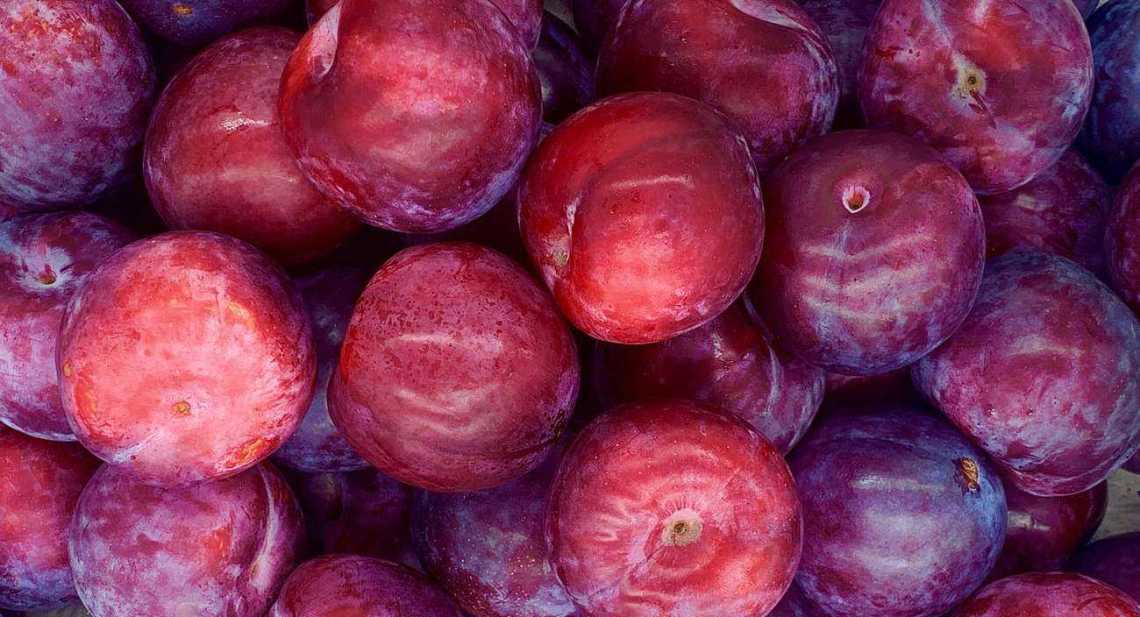 Prunes Rouge