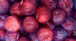 Prunes Rouge