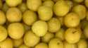 Prunes Jaune