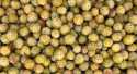 Prunes Mirabelle
