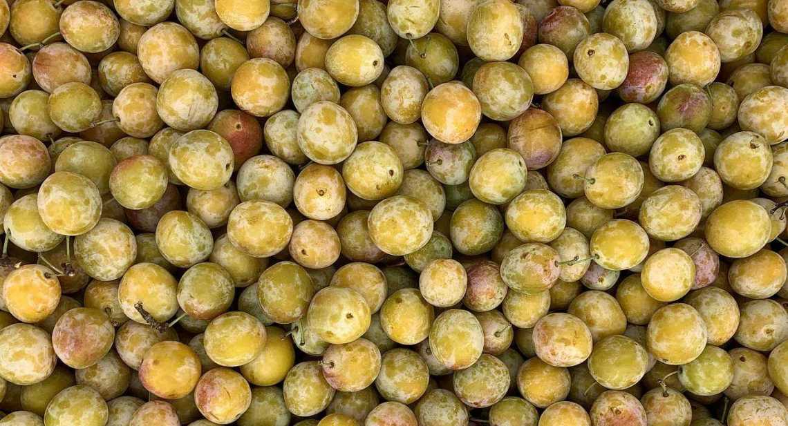 Prunes Mirabelle