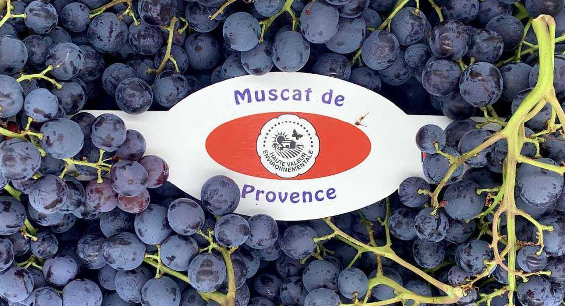 Raisins Noir Muscat