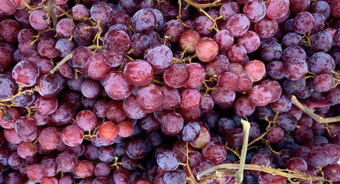 Raisins Rose