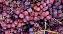 Raisins Rose