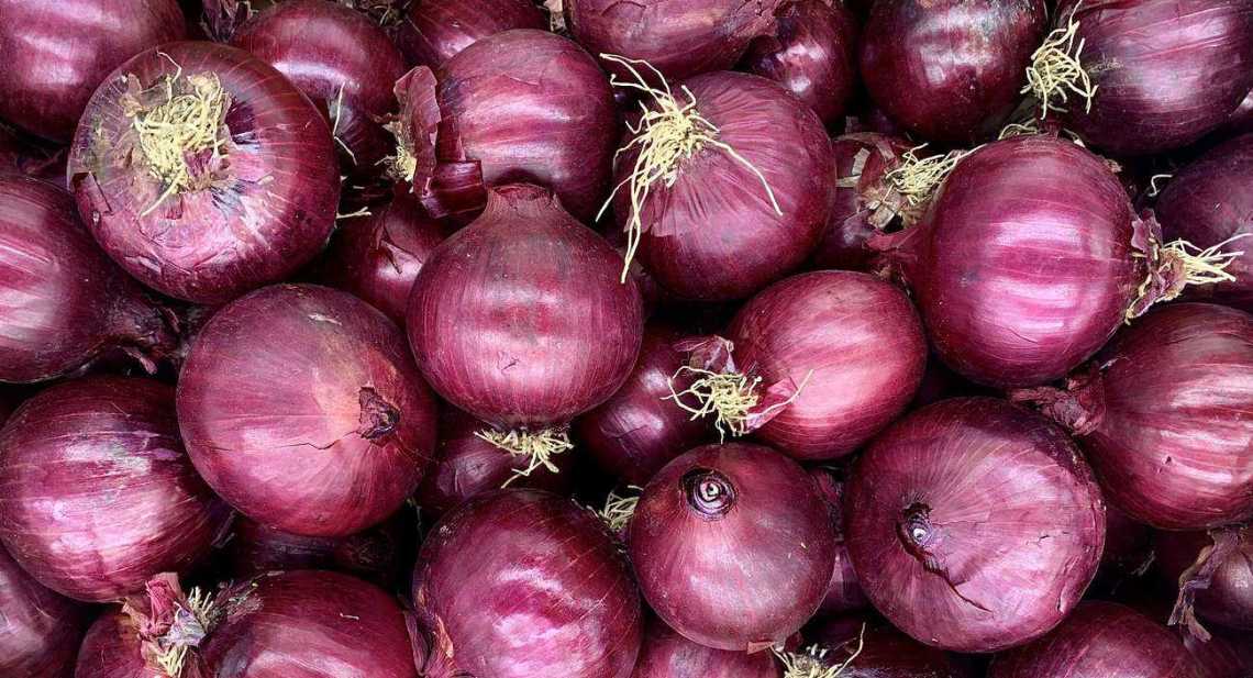 Oignons Rouge