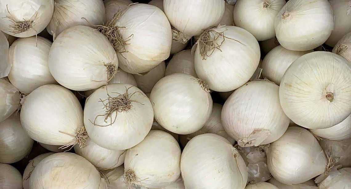 Oignons Blanc