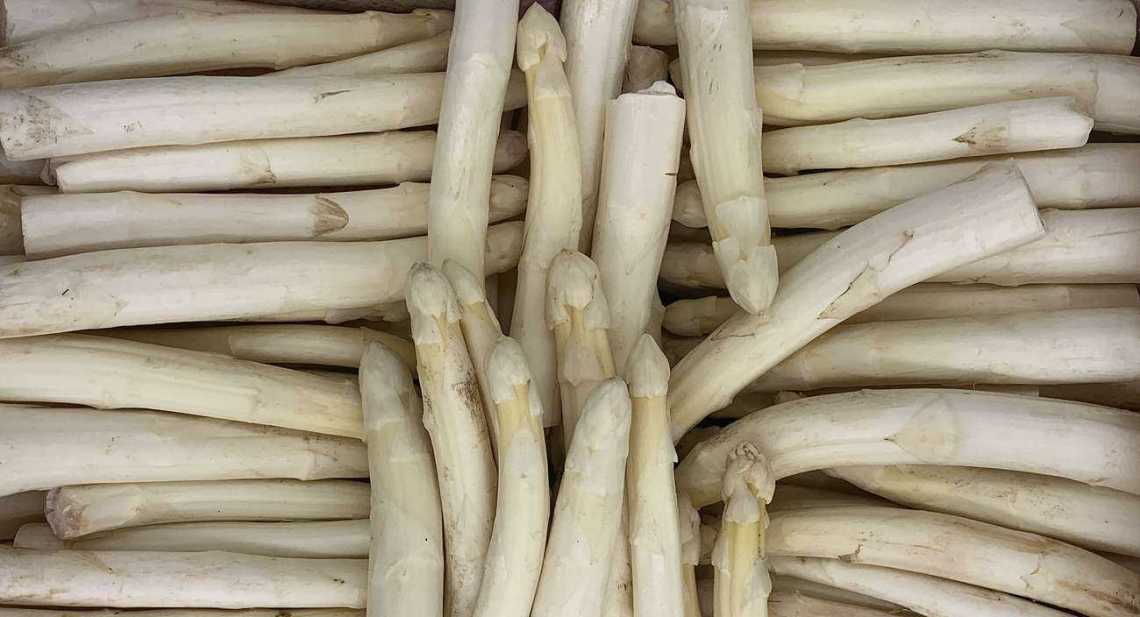 Asperges Blanche courte