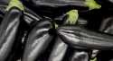 Aubergines Noire