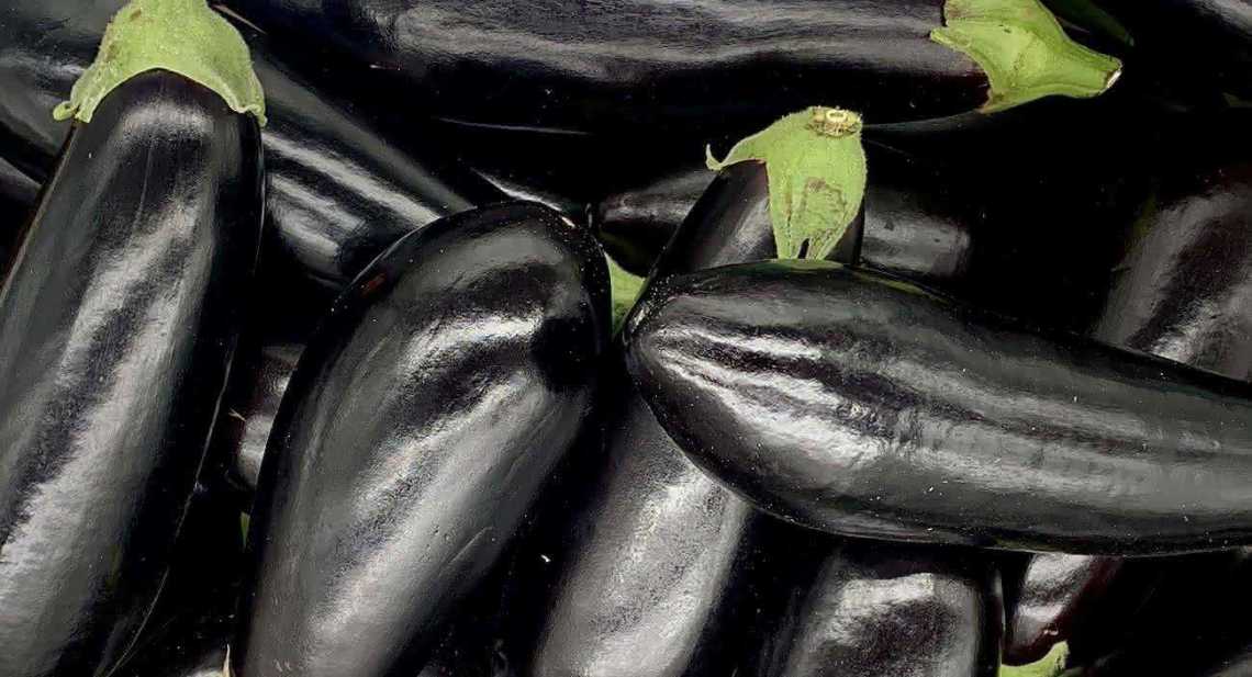 Aubergines Noire