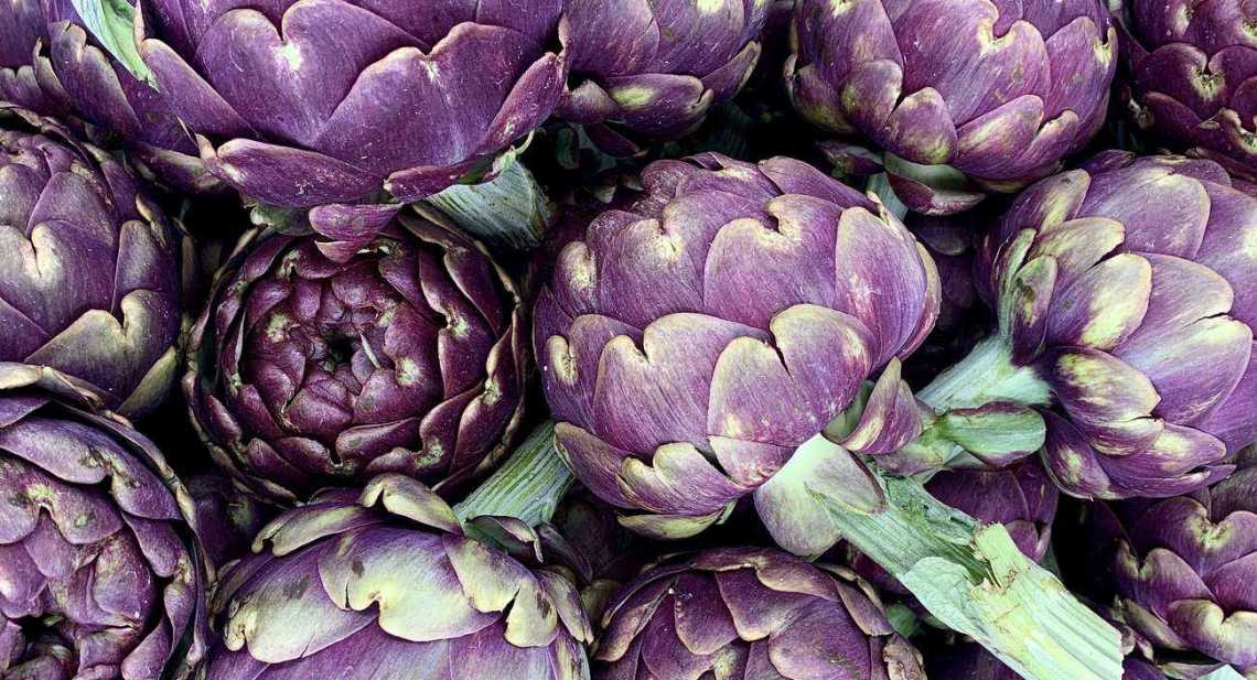 Artichauts violet