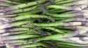 Asperges Vertes