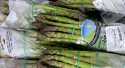Asperges Vertes bottes