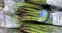 Asperges Vertes bottes