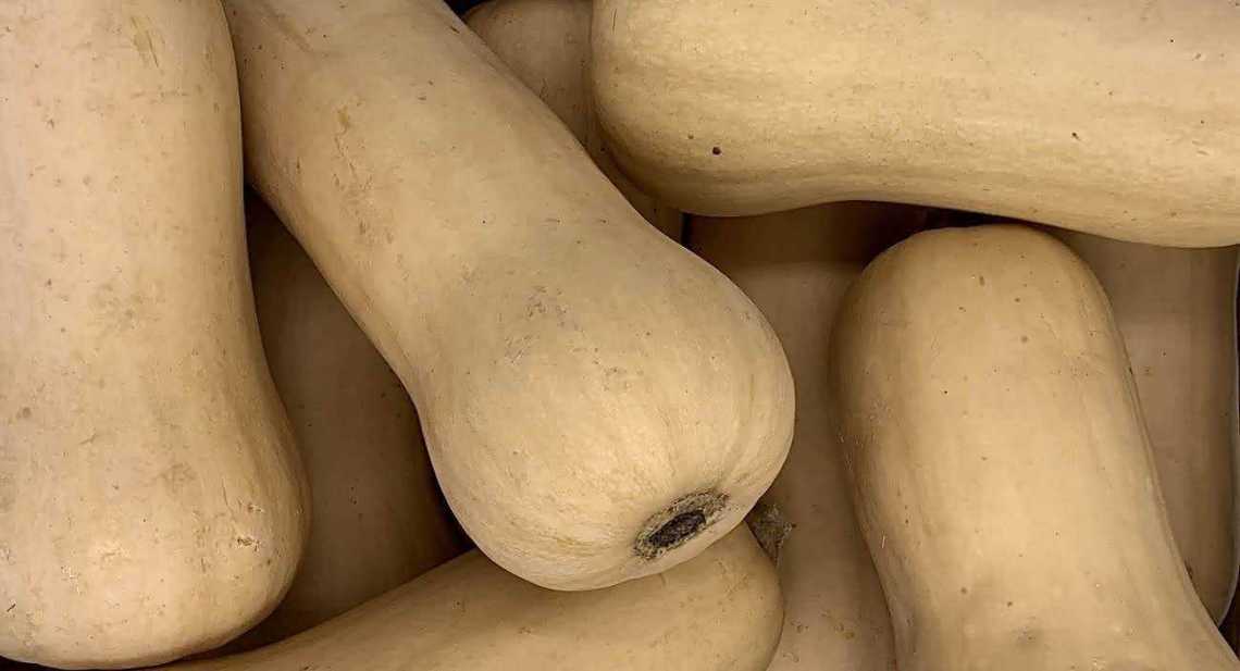 butternuts