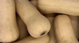 butternuts