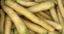 Carottes Blanche