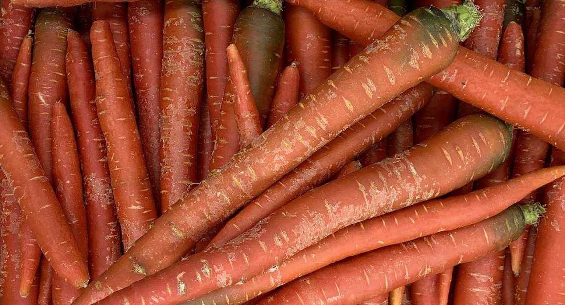 Carottes Rouge
