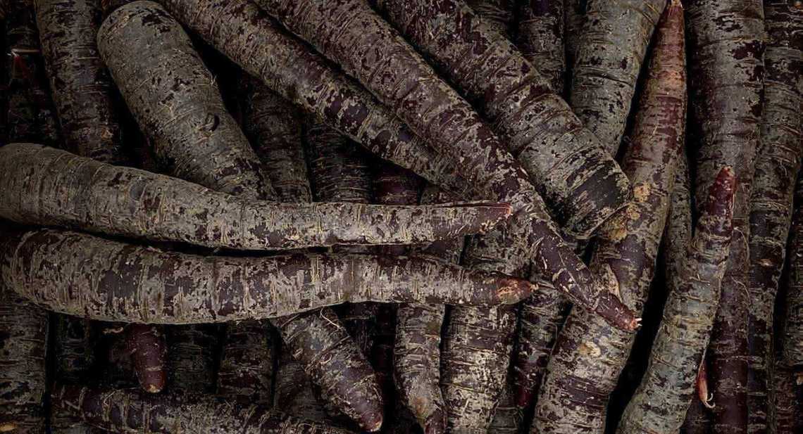 Carottes Violette