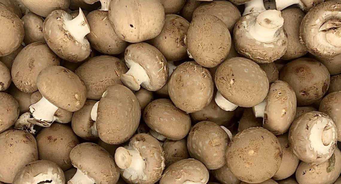 Champignons Crème