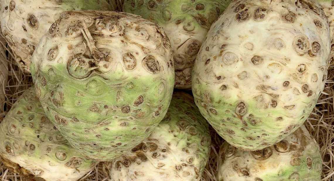 Céleris boule