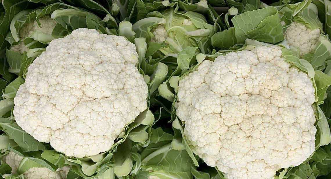 Choux Fleur blanc