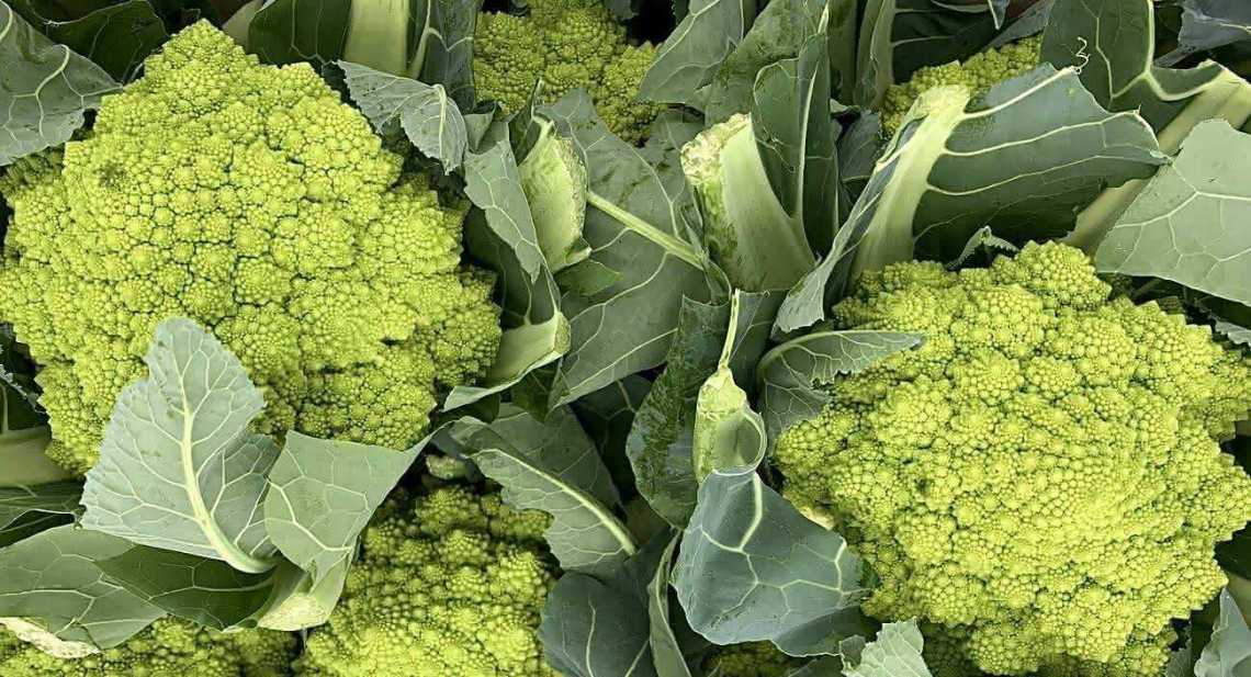 Choux Romanesco