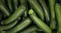 Courgettes Longue verte